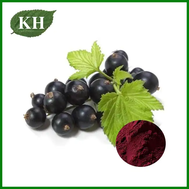 Black Currant Powder
